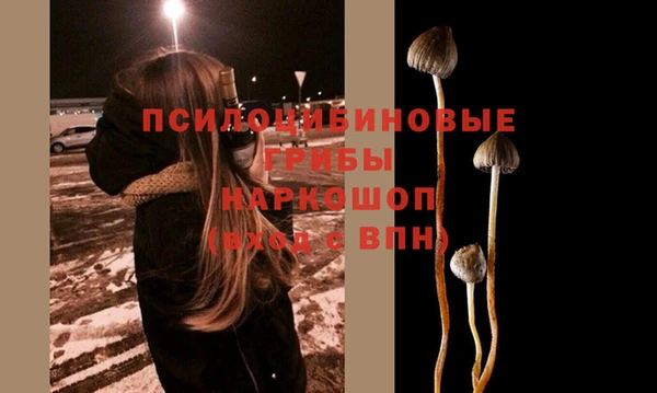 герыч Пересвет