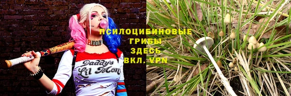 СК Абаза